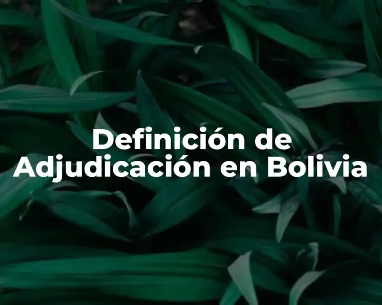 Definición de Adjudicación en Bolivia