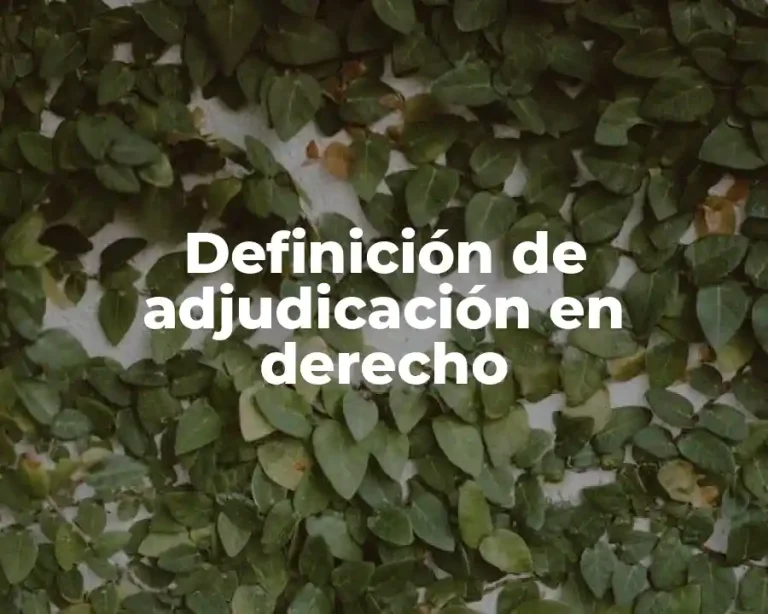 Definición de adjudicación en derecho