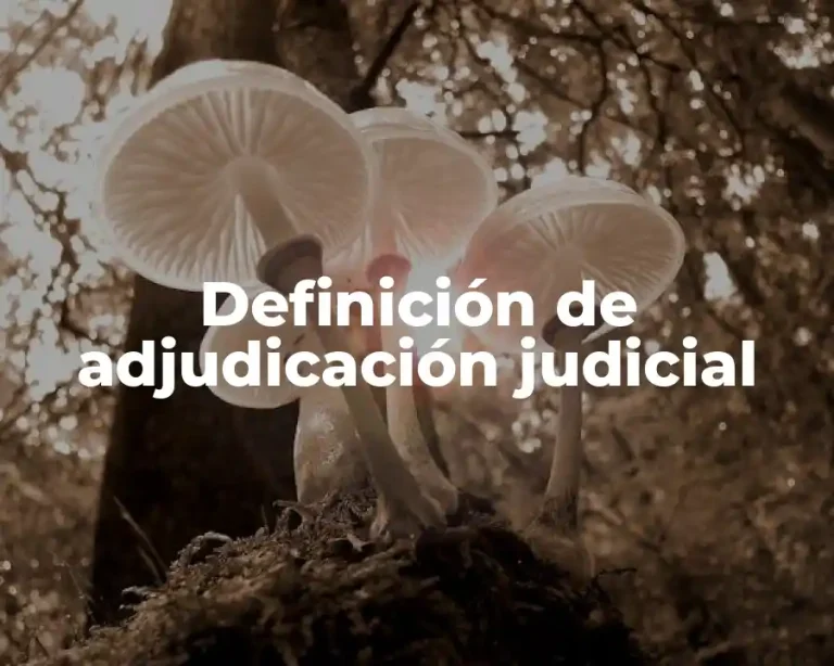 Definición de adjudicación judicial