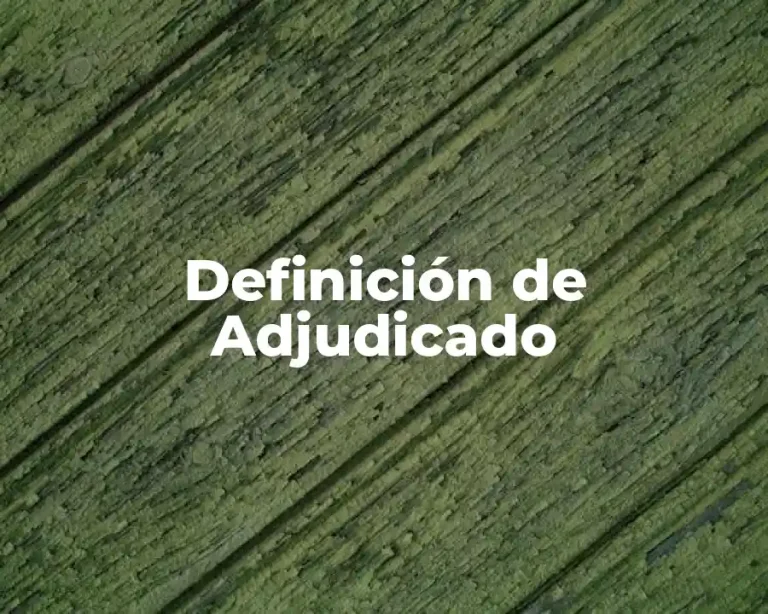 Definición de Adjudicado