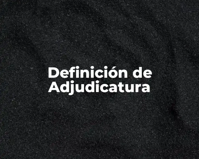 Definición de Adjudicatura