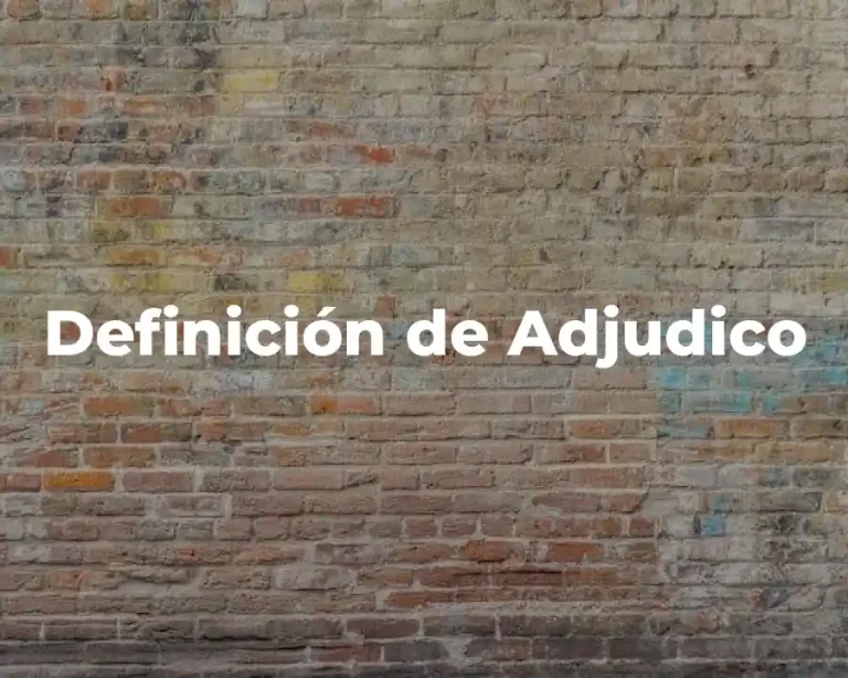 Definición de Adjudico
