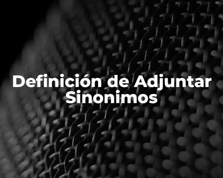 Definición de Adjuntar Sinonimos