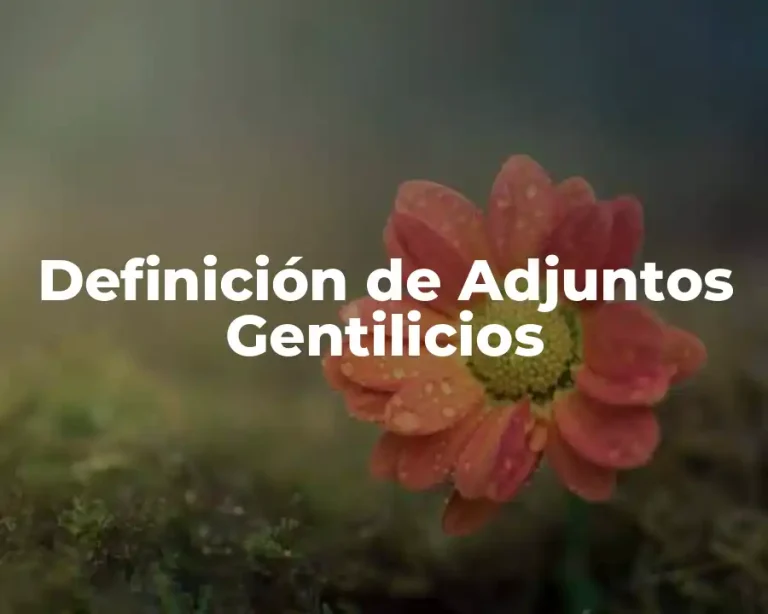 Definición de Adjuntos Gentilicios