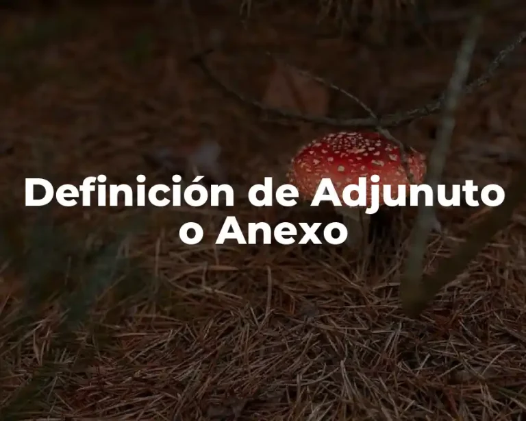 Definición de Adjunuto o Anexo