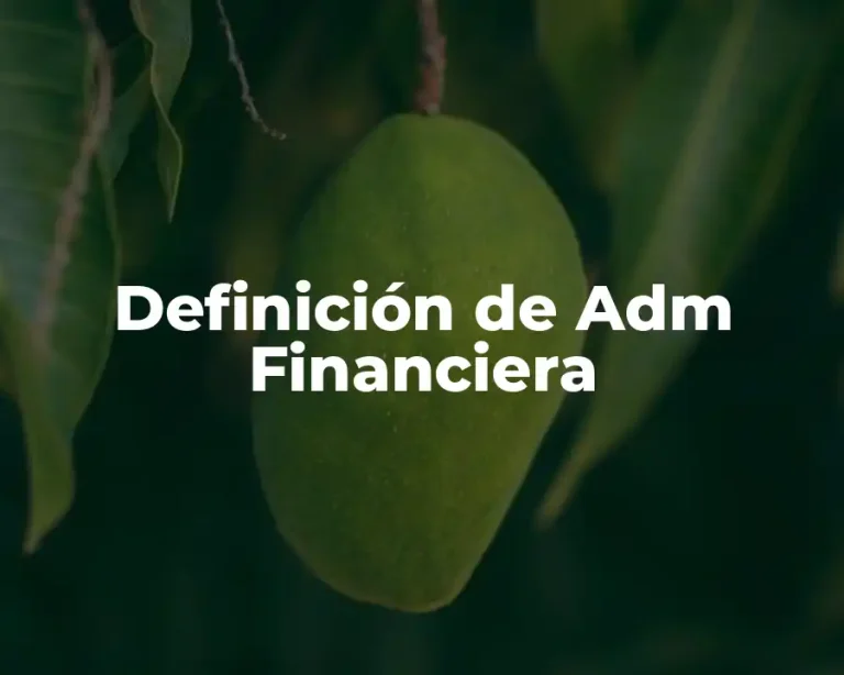 Definición de Adm Financiera