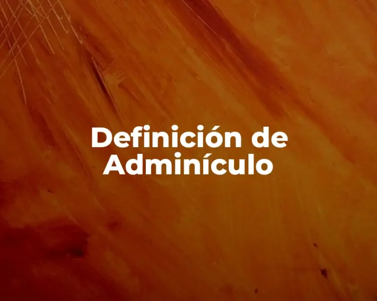 Definición de Adminículo