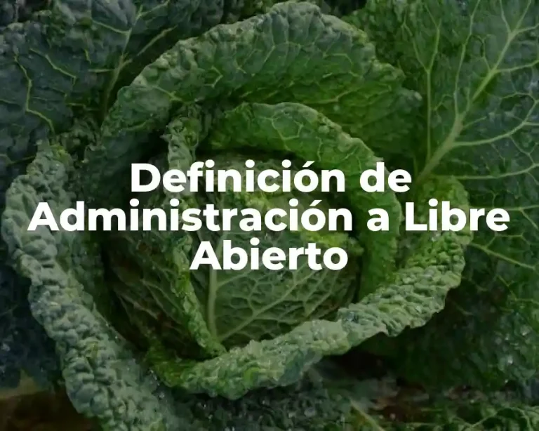 Definición de Administración a Libre Abierto