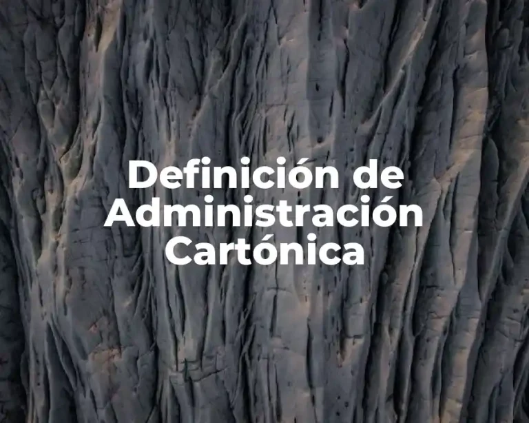 Definición de Administración Cartónica