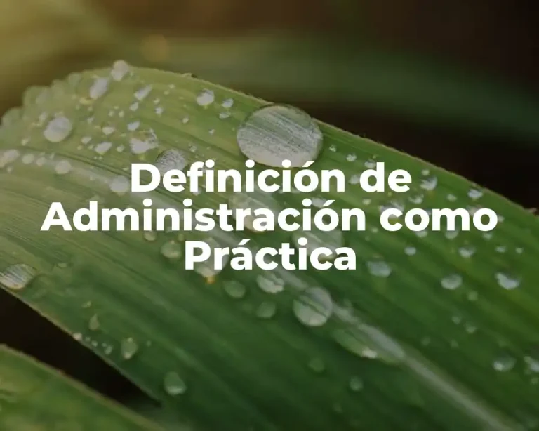 Definición de Administración como Práctica