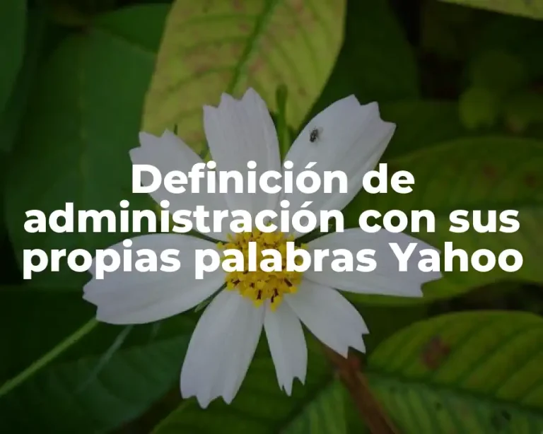 Definición de administración con sus propias palabras Yahoo