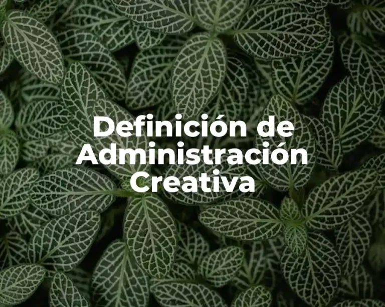 Definición de Administración Creativa