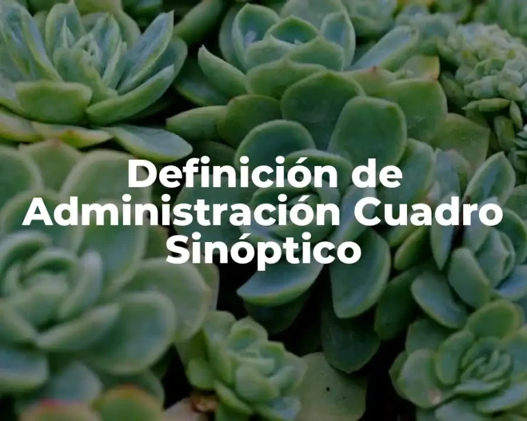 Definición de Administración Cuadro Sinóptico