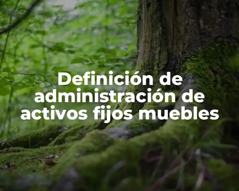 Definición de administración de activos fijos muebles