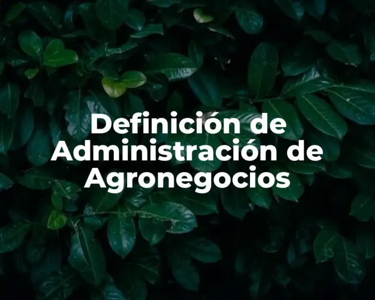 Definición de Administración de Agronegocios