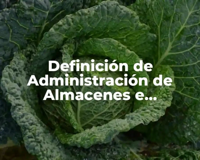 Definición de Administración de Almacenes e Inventarios