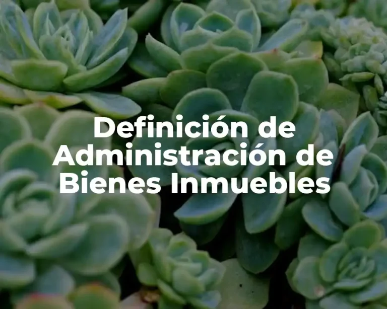 Definición de Administración de Bienes Inmuebles