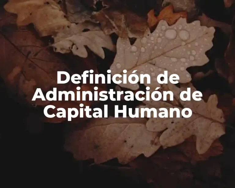 Definición de Administración de Capital Humano