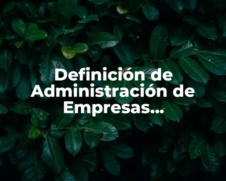 Definición de Administración de Empresas Constructoras