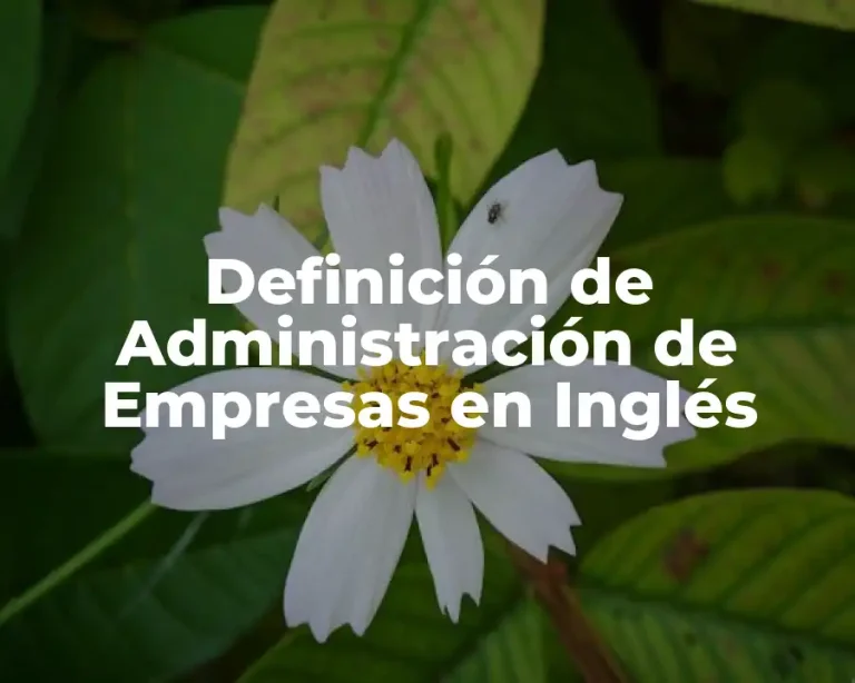Definición de Administración de Empresas en Inglés