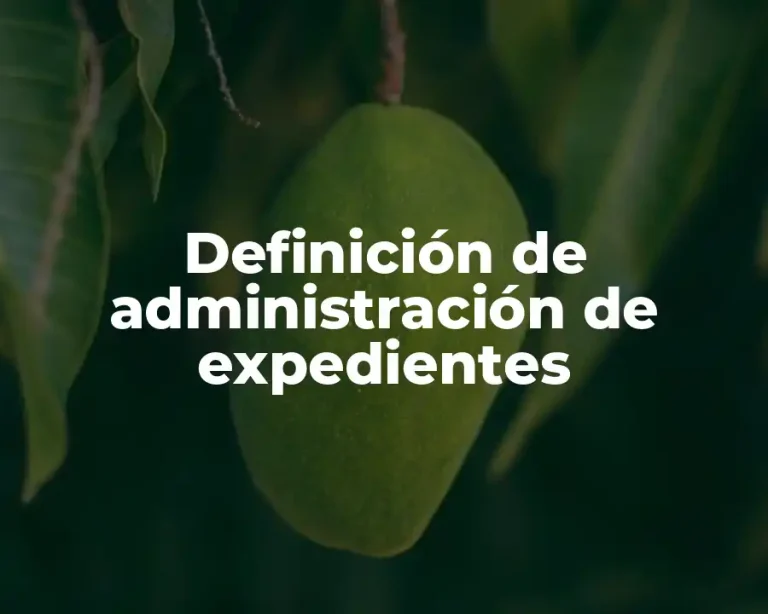Definición de administración de expedientes