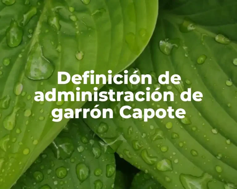 Definición de administración de garrón Capote