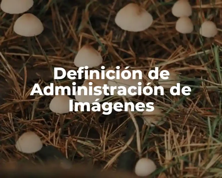 Definición de Administración de Imágenes