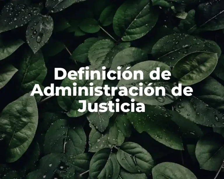 Definición de Administración de Justicia