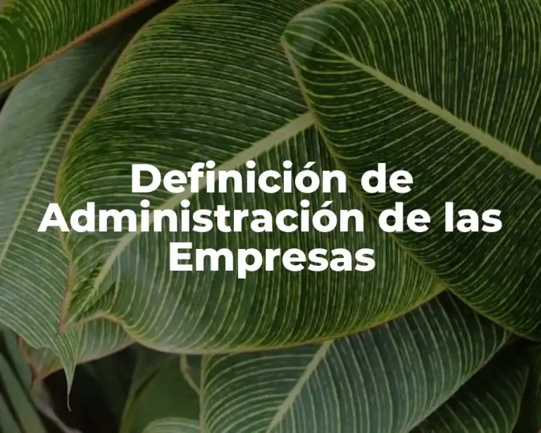 Definición de Administración de las Empresas