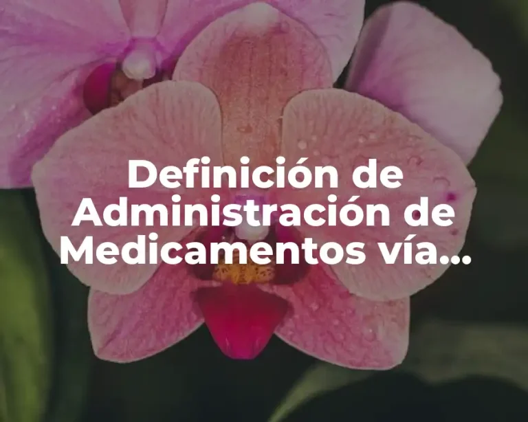 Definición de Administración de Medicamentos vía Intramuscular