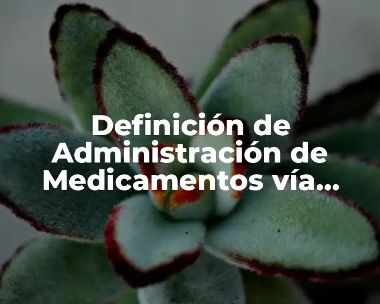 Definición de Administración de Medicamentos vía Rectal