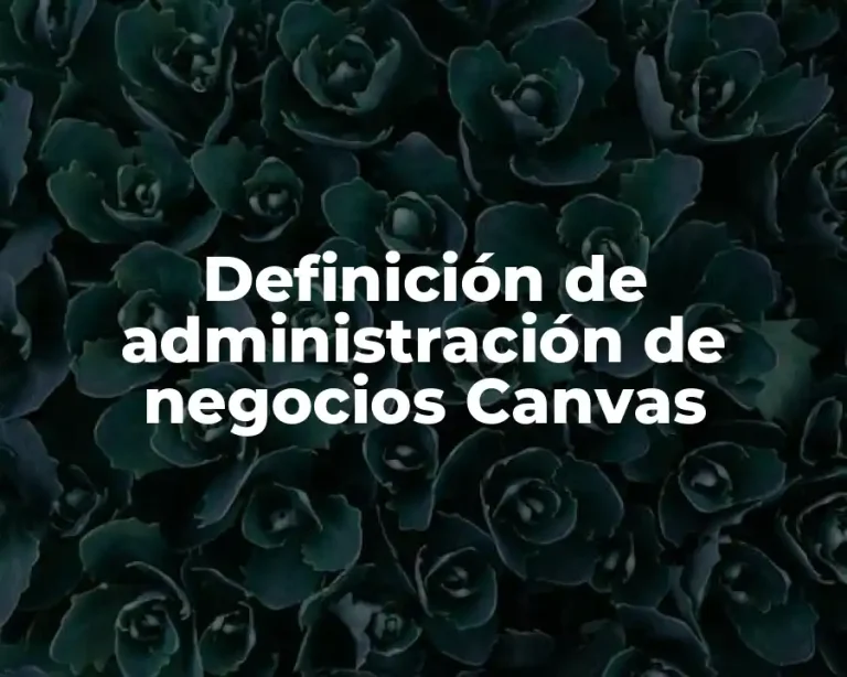 Definición de administración de negocios Canvas