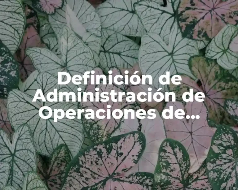 Definición de Administración de Operaciones de acuerdo a Chase