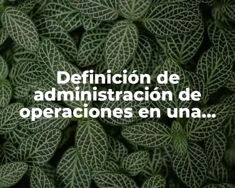 Definición de administración de operaciones en una empresa