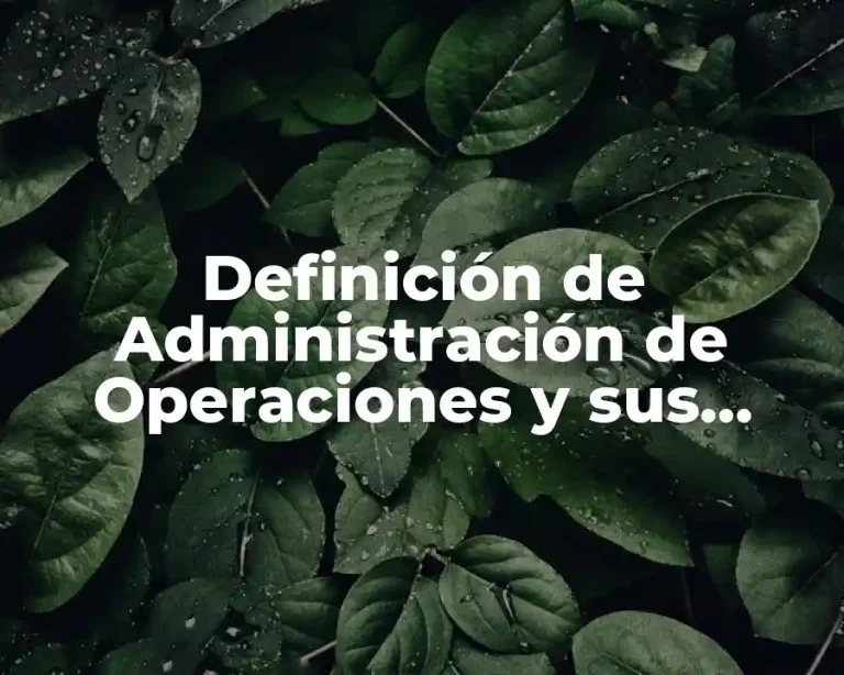 Definición de Administración de Operaciones y sus Funciones