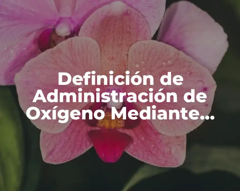 Definición de Administración de Oxígeno Mediante Cápsula