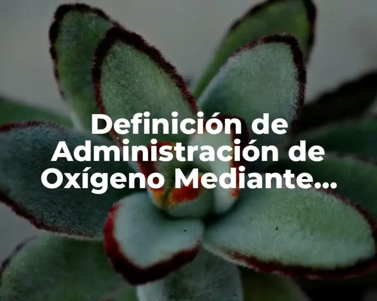 Definición de Administración de Oxígeno Mediante Gafas