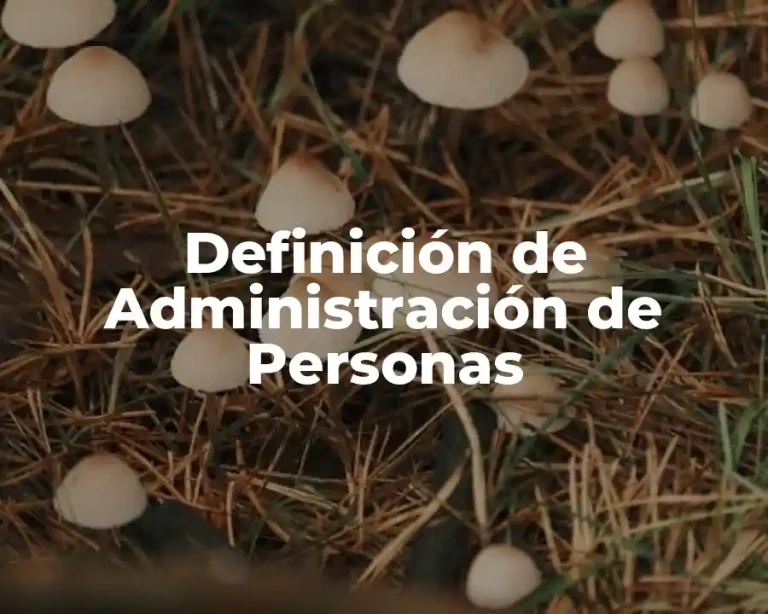 Definición de Administración de Personas