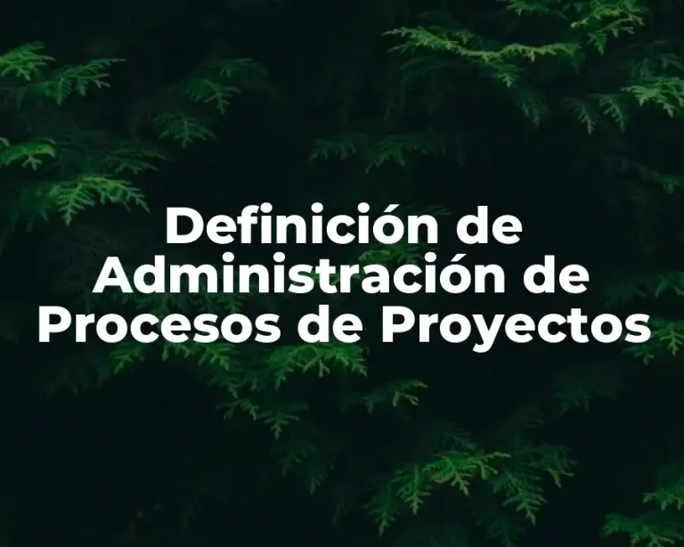 Definición de Administración de Procesos de Proyectos