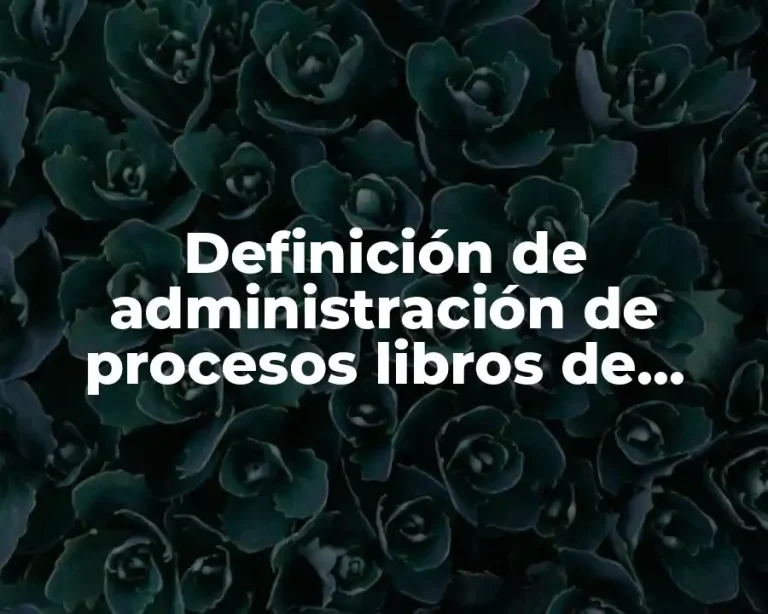 Definición de administración de procesos libros de calidad