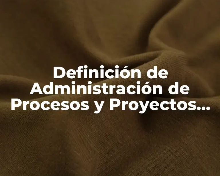 Definición de Administración de Procesos y Proyectos en la Academia