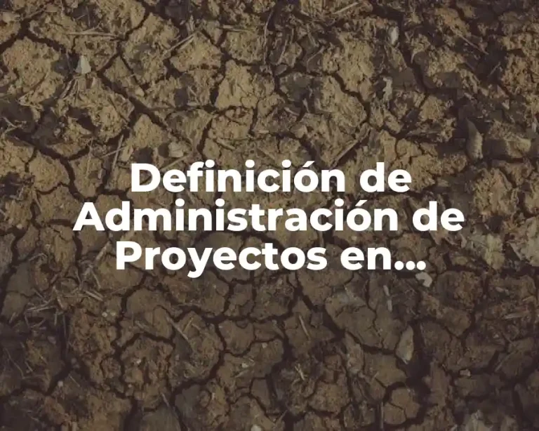 Definición de Administración de Proyectos en Arquitectura