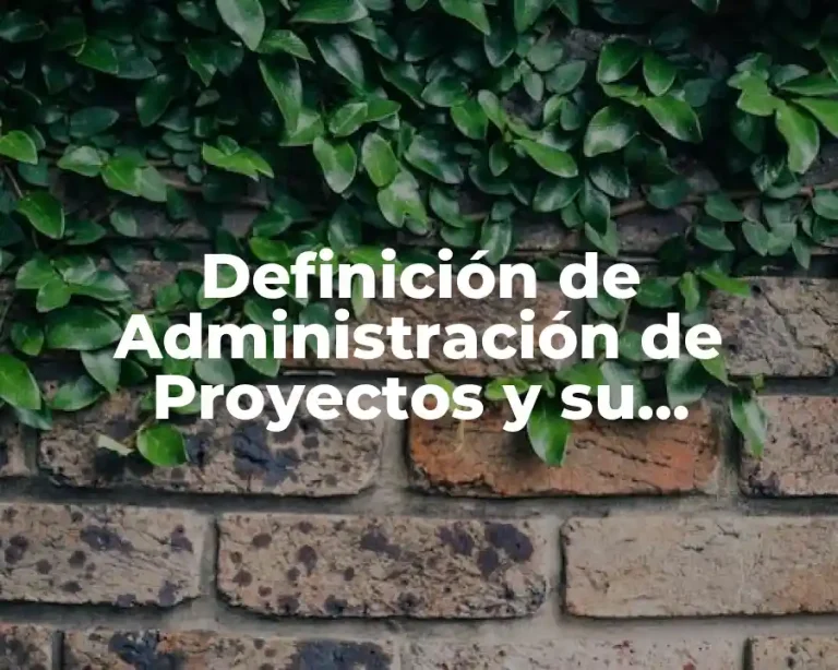 Definición de Administración de Proyectos y su Importancia