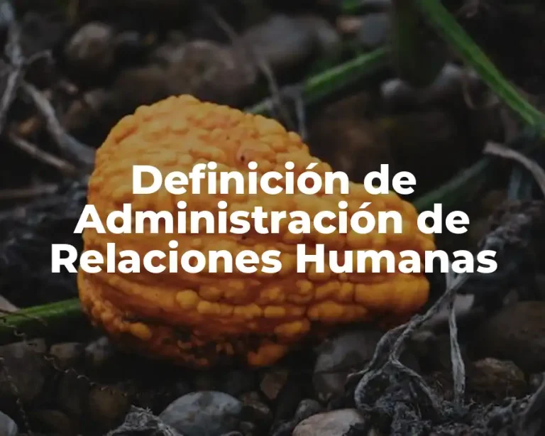 Definición de Administración de Relaciones Humanas