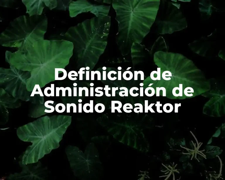 Definición de Administración de Sonido Reaktor