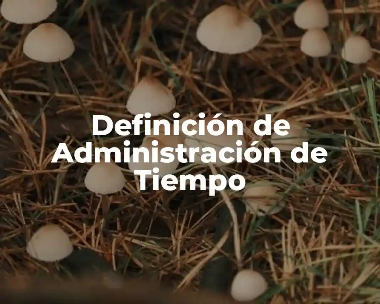 Definición de Administración de Tiempo