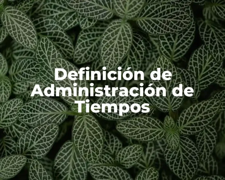 Definición de Administración de Tiempos