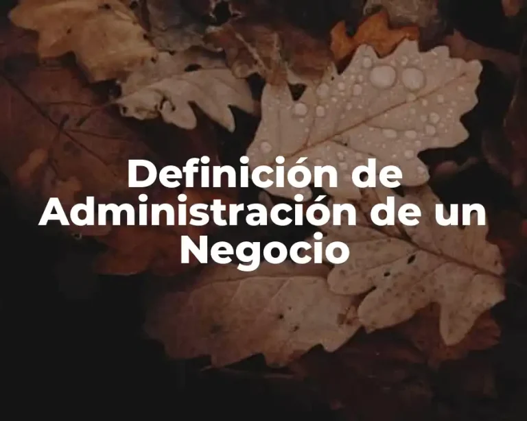 Definición de Administración de un Negocio