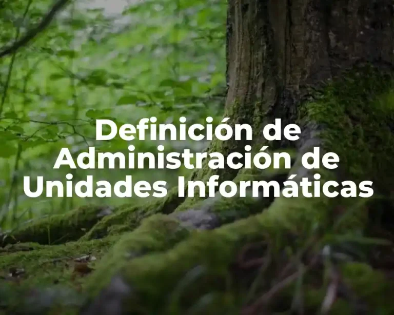 Definición de Administración de Unidades Informáticas