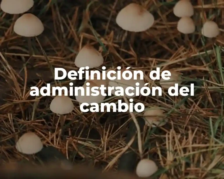 Definición de administración del cambio